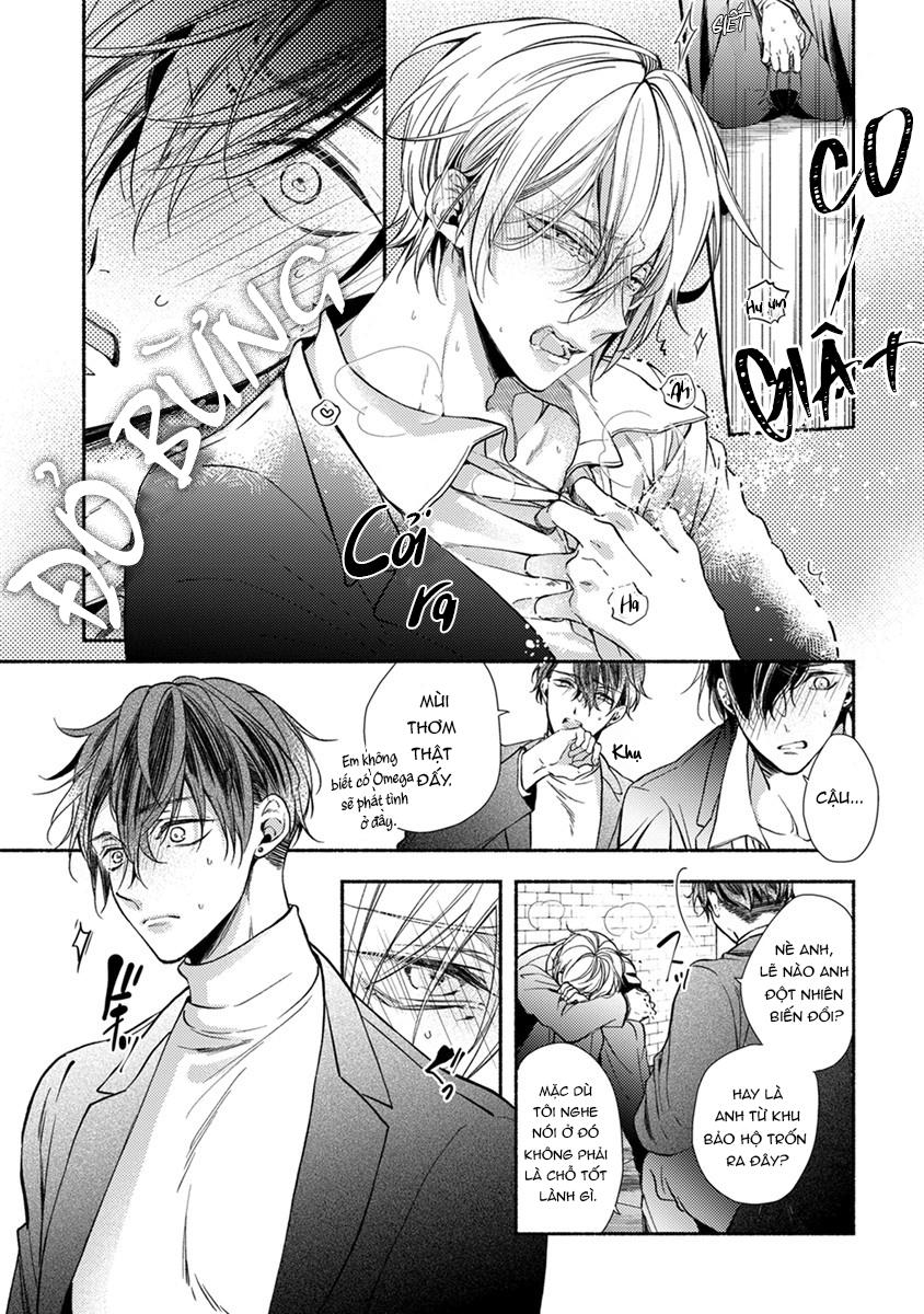 omega giả vờ kiên cường đó là bạn tình của tôi chapter 1 10