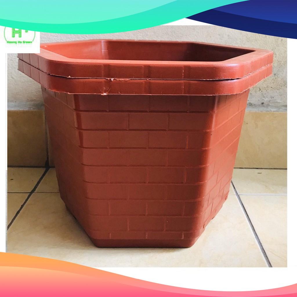 2 Chậu Nhựa Trồng Cây Cảnh, Hoa FA-380 Bình Thuận Plastics
