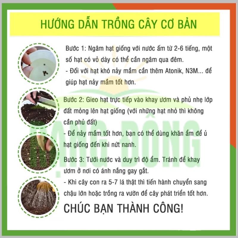 Hạt giống hành bazo lá cọng trắng khổng lồ Egrow, gói 5gr