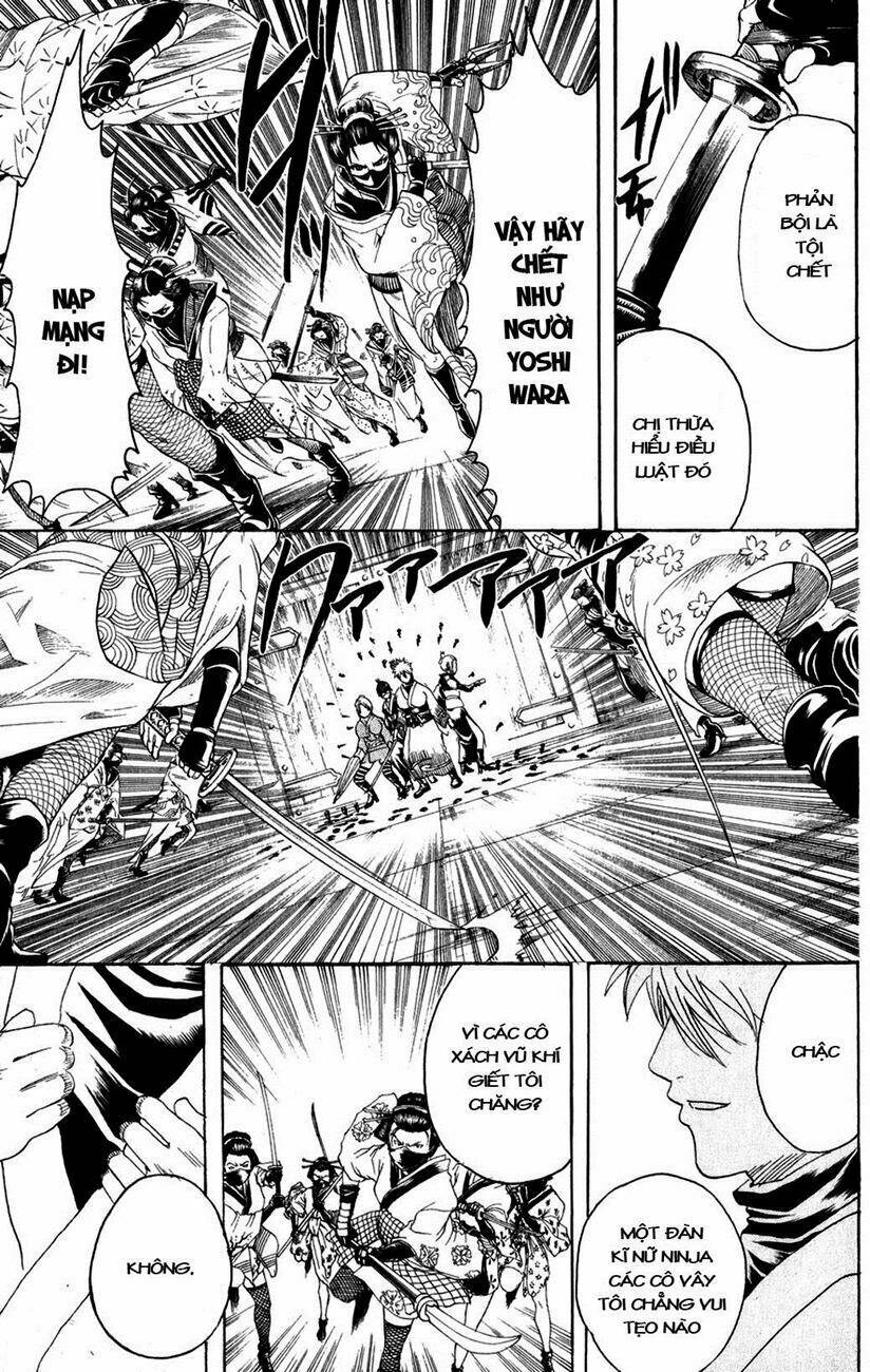 gintama - linh hồn bạc chapter 216 7