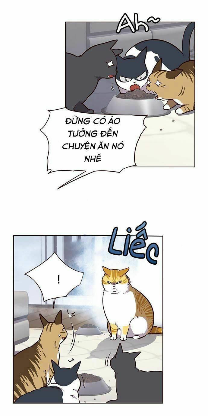 biến thân thành mèo chapter 9 35