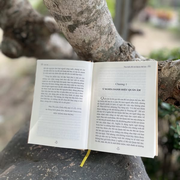 Sách - Tìm Hiểu Bồ Tát Quán Thế Âm - Vĩnh Nghiêm Books