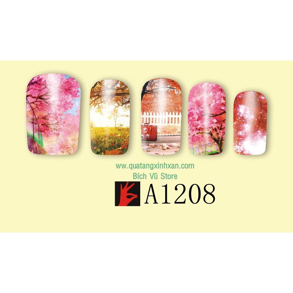 Decal nước dán móng mã A