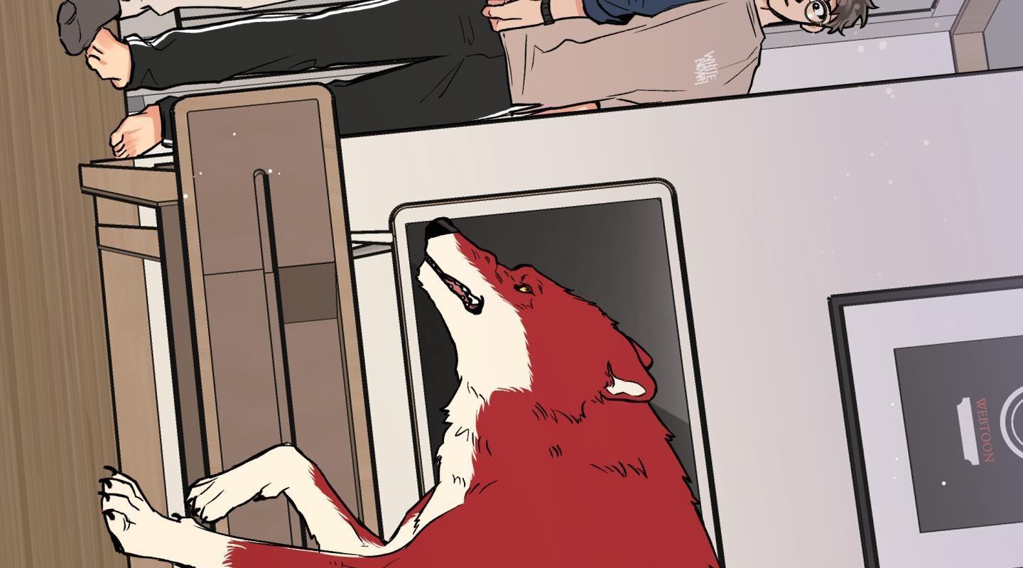 gâu gâu! chapter 43 49