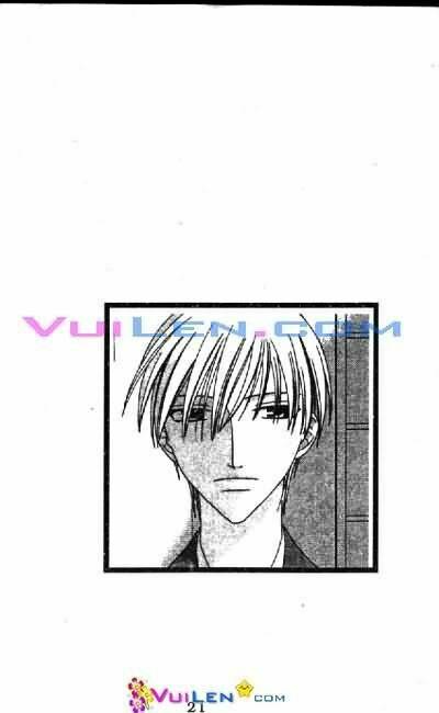 giỏ trái cây - fruit basket chapter 17 19