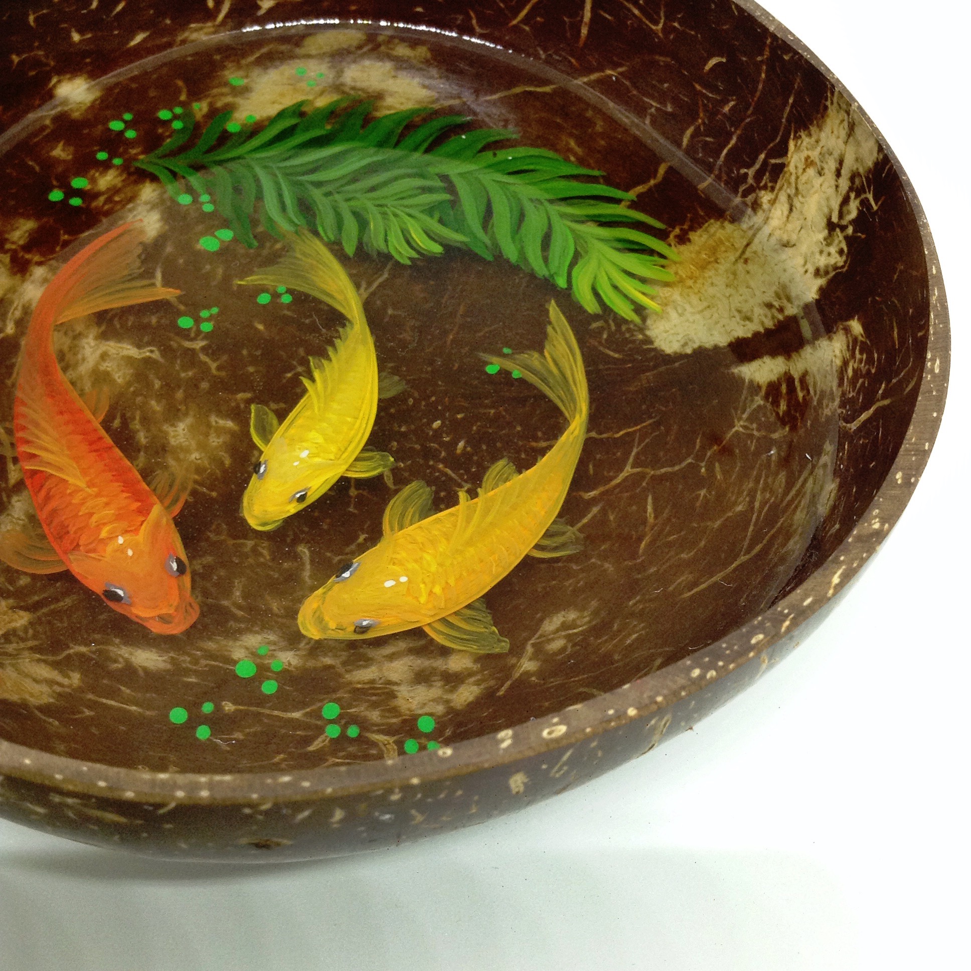Tranh Vẽ Cá 3D Trên Vỏ Dừa