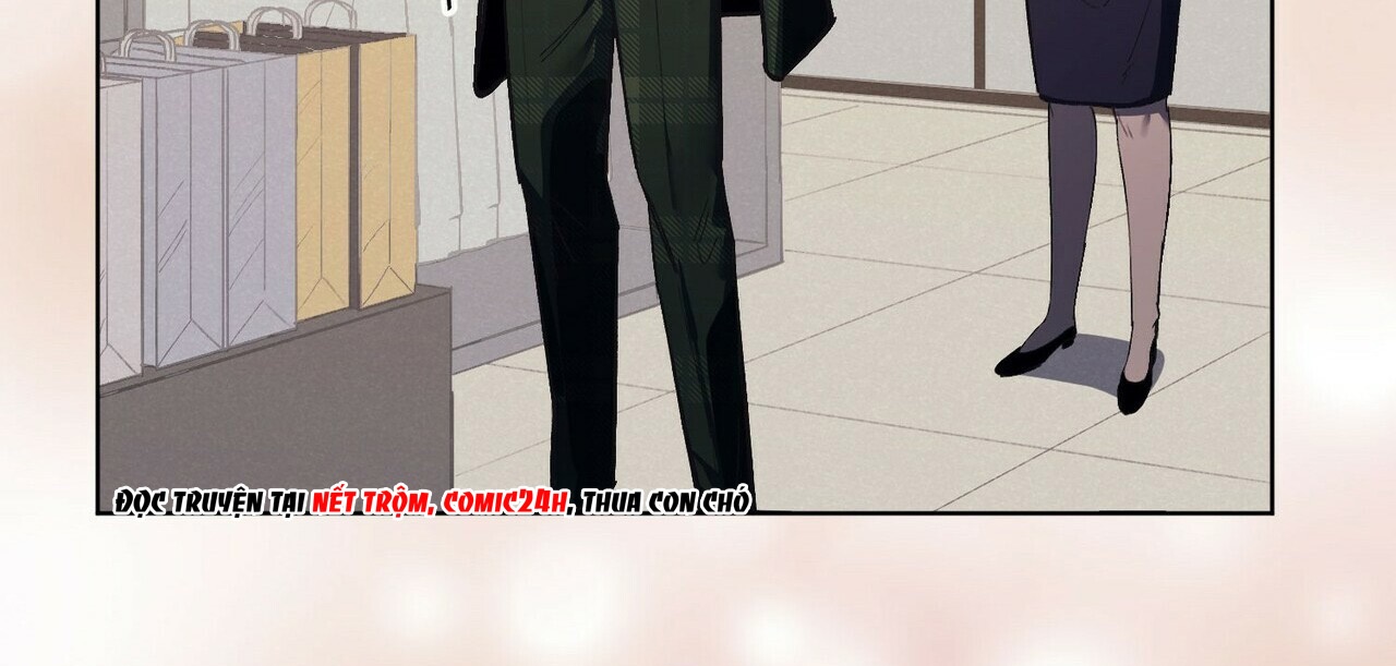chàng dâu nhà họ kang chapter 6 73