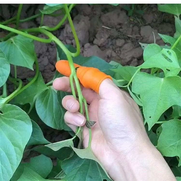 Bộ Móng Nhặt Rau Củ Quả Chống Bẩn Móng Tay, Ngón Cái Bấm Cắt Rau Củ - Nạo Gọt Tiện Lợi - DumiStore