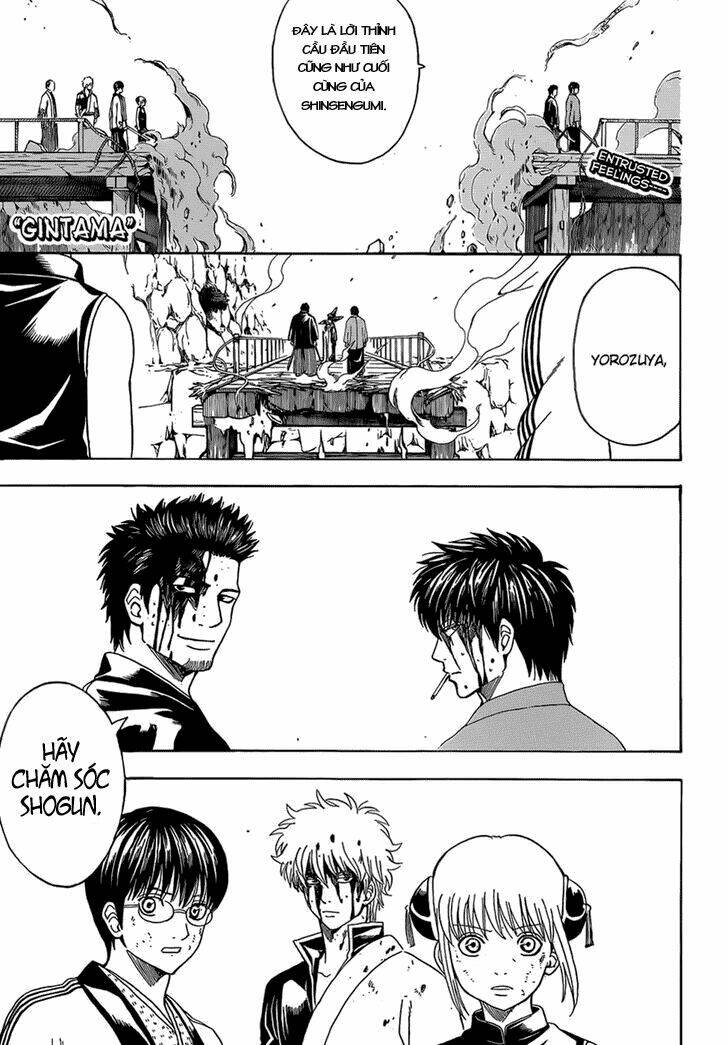 gintama - linh hồn bạc chapter 513 1