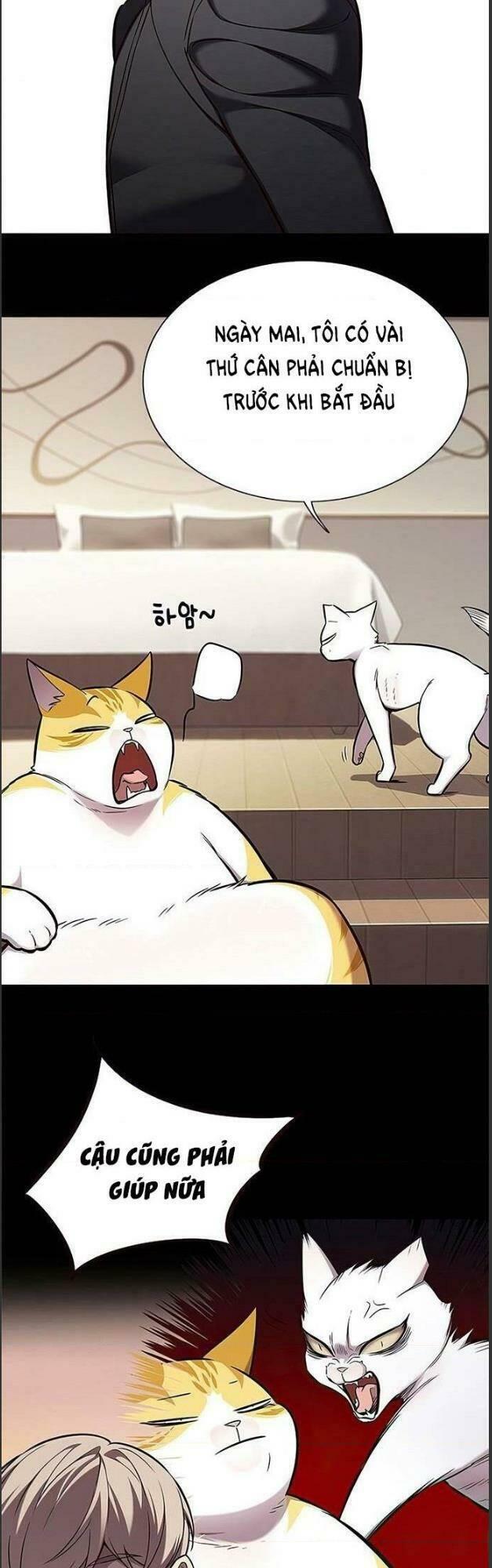 biến thân thành mèo chapter 156 38