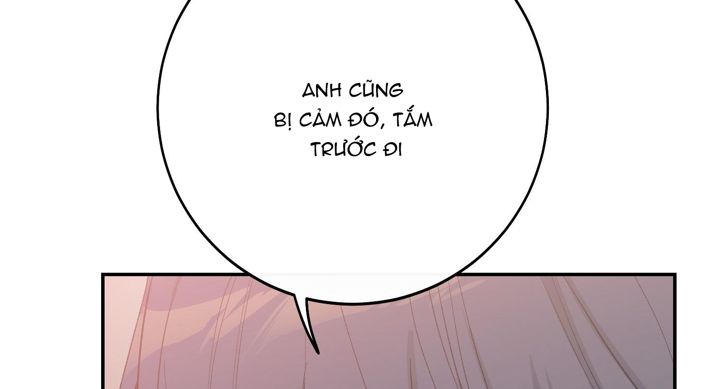 lãng mạn giả dối chapter 13 160