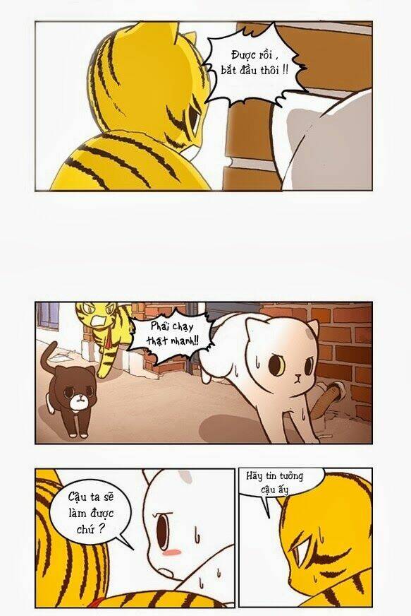 papi nyang chapter 17 4