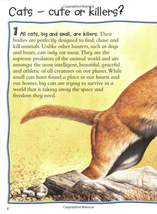 Pocket Edition 100 Facts Big Cats