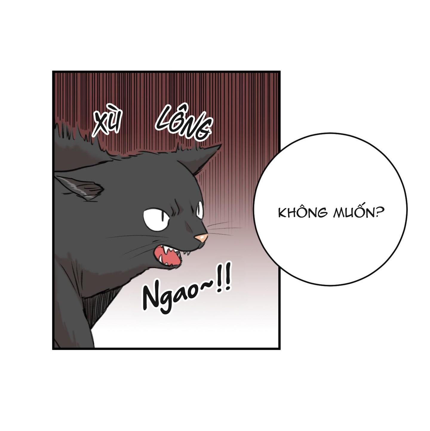 sự trả thù méo mó chapter 15 3