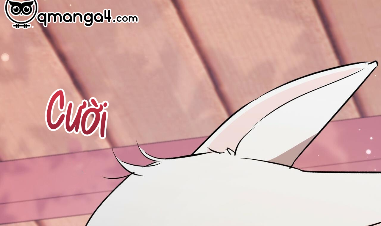 đàn thỏ của habibi chapter 56 301