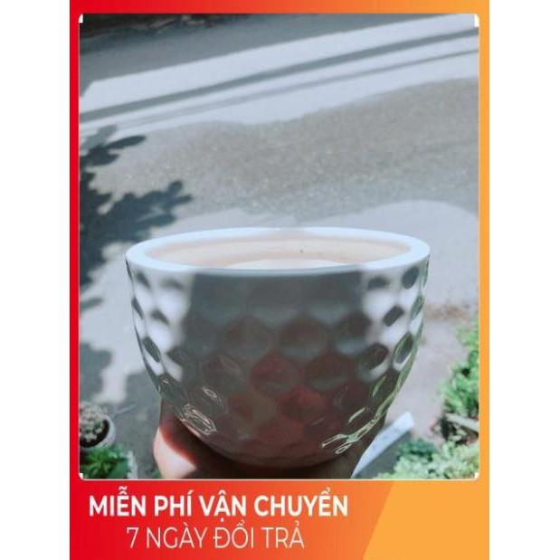 Nhất Mạc Hương  kèm chậu sứ