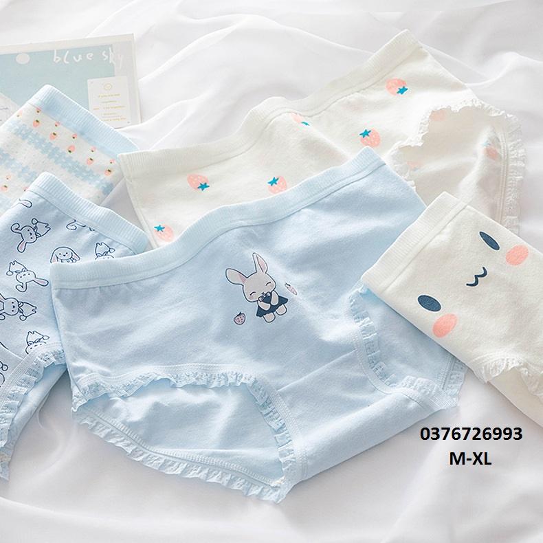 Quần Lót Nữ Cotton Kháng Khuẩn Hình Thỏ-Dâu Tây Ngang Eo Thời Trang . Hàng Loại Đẹp.