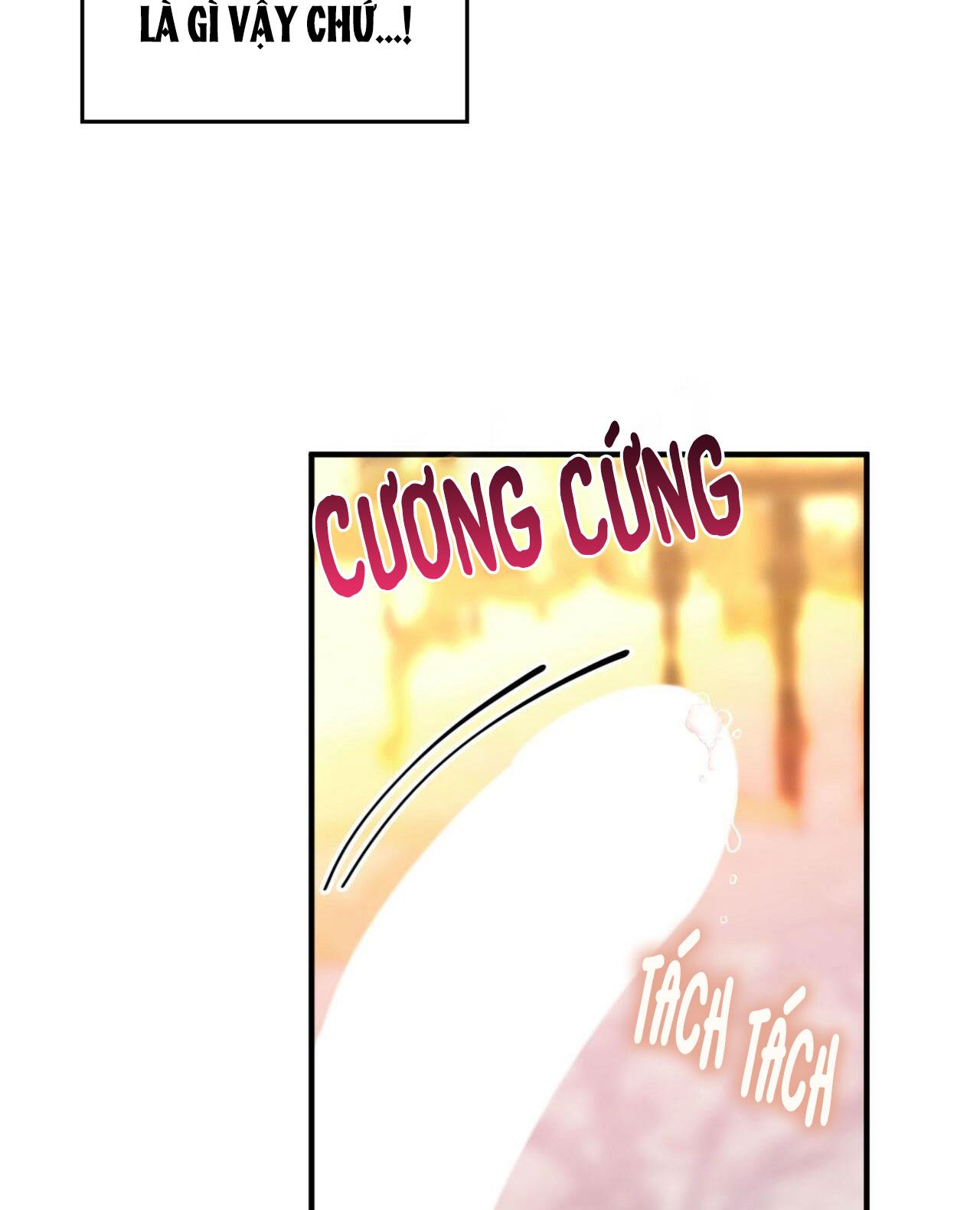 (np) độc thân muôn năm chapter 14 68