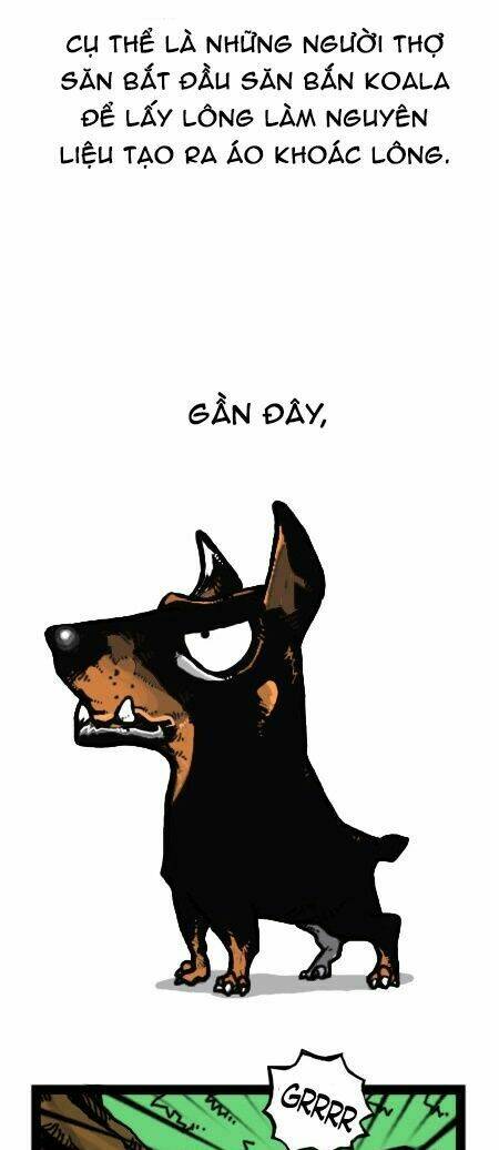 earth, human, and animal chapter 25 14