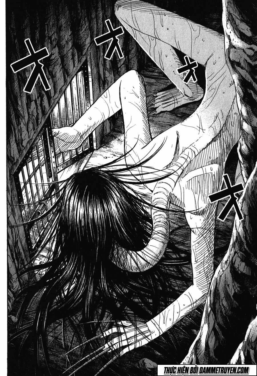 đảo ma cà rồng chapter 429 3