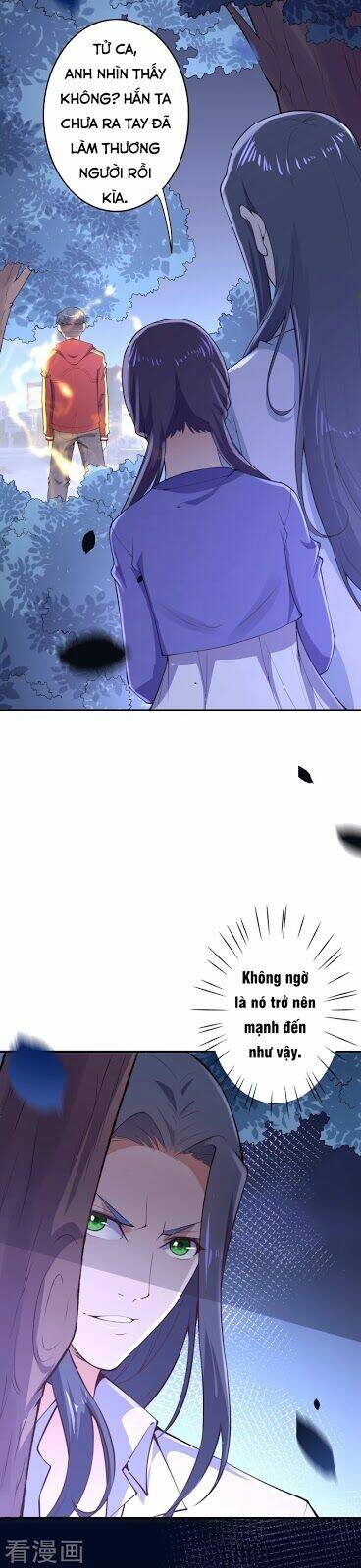 đô thị hộ hoa tiên tôn chapter 14 19