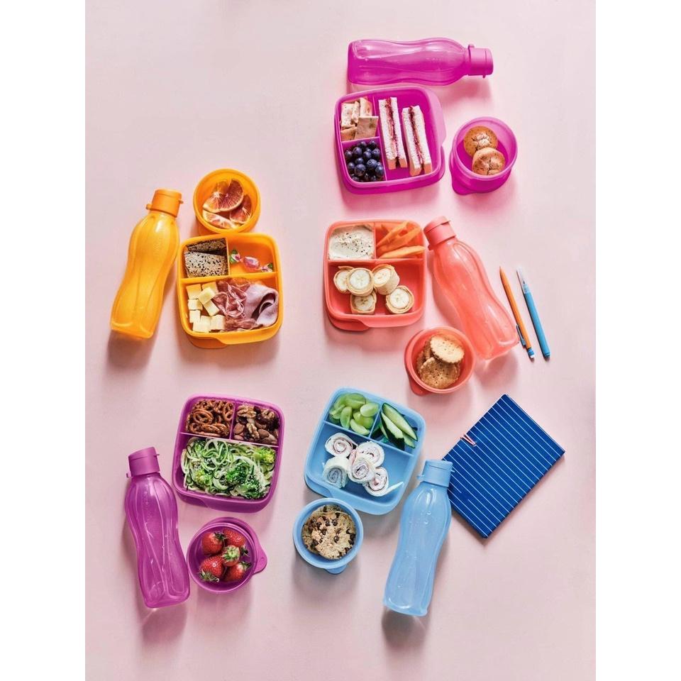 Hộp cơm chia ngăn 550ml LollyTup - Tupperware