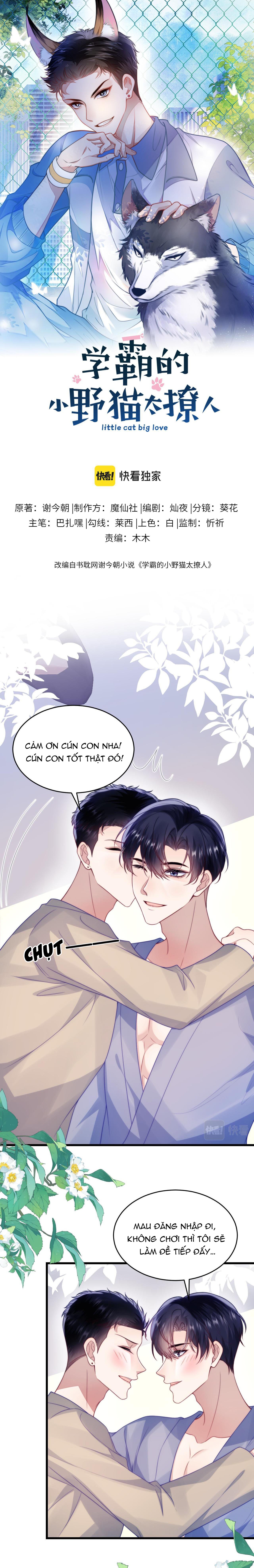 mèo hoang nhỏ của học bá quá chọc người rồi chapter 62 1