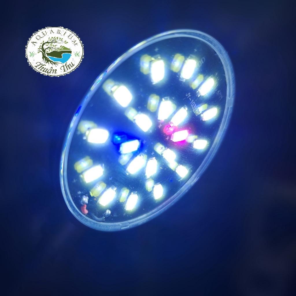 Đèn led kẹp hồ cá cảnh mini KaoKui KK JY 25