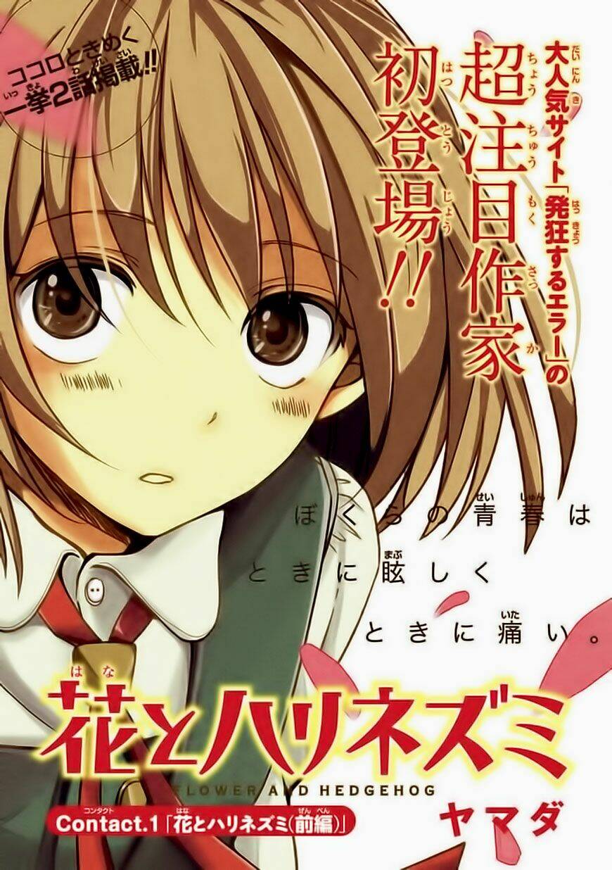 hana to harinezumi chapter 1 2