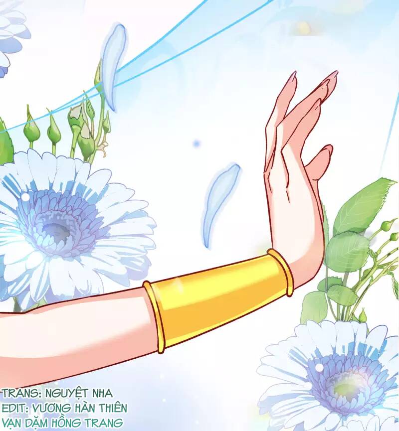 cô ấy đến rồi, xin nằm xuống! chapter 253 17