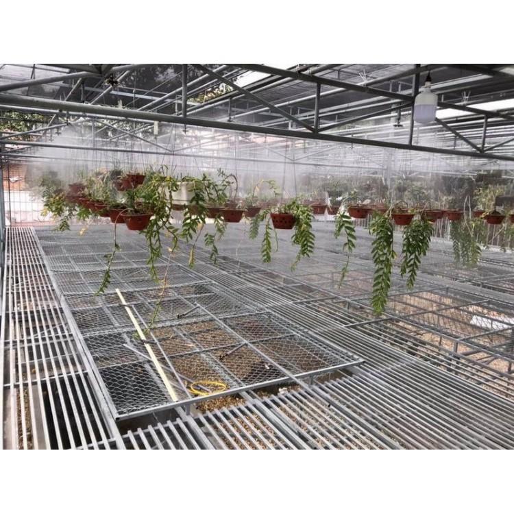 Béc phun sương 4 hướng kèm kết nối nhanh 8mm