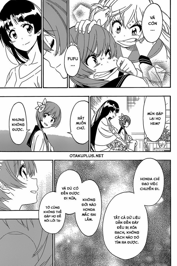 nisekoi - tình yêu giả tạo chapter 183 18