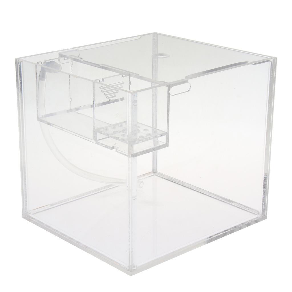 Tropical Betta Mini Tank Arcylic Aquarium Small Tank