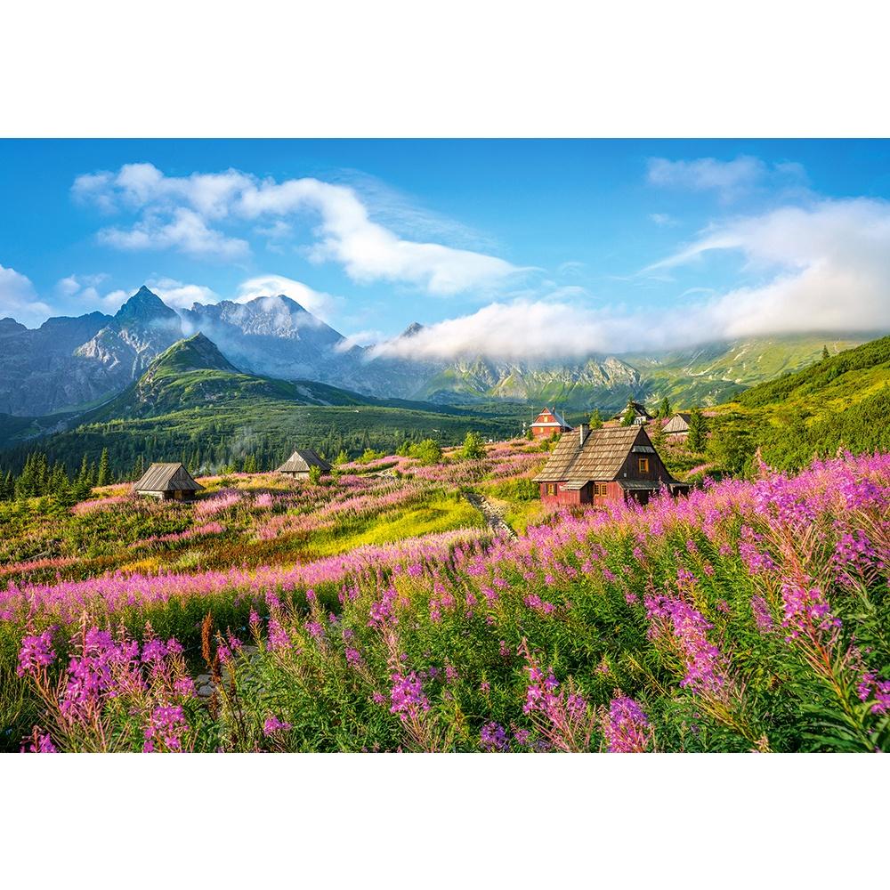 Xếp hình puzzle Hala Gasienicowa, Tatras, Poland 1000 mảnh CASTROLAND C-104512