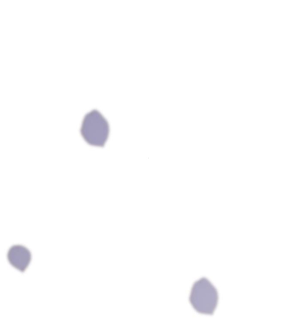 điều khiến tôi quyết tâm muốn chết chapter 98.2 30