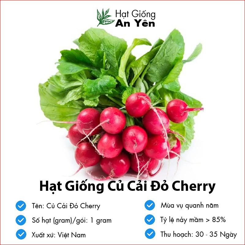 Hạt giống Củ Cải Đỏ Cherry thu hoạch sớm, dễ trồng, nảy mầm cao, sinh trưởng khoẻ