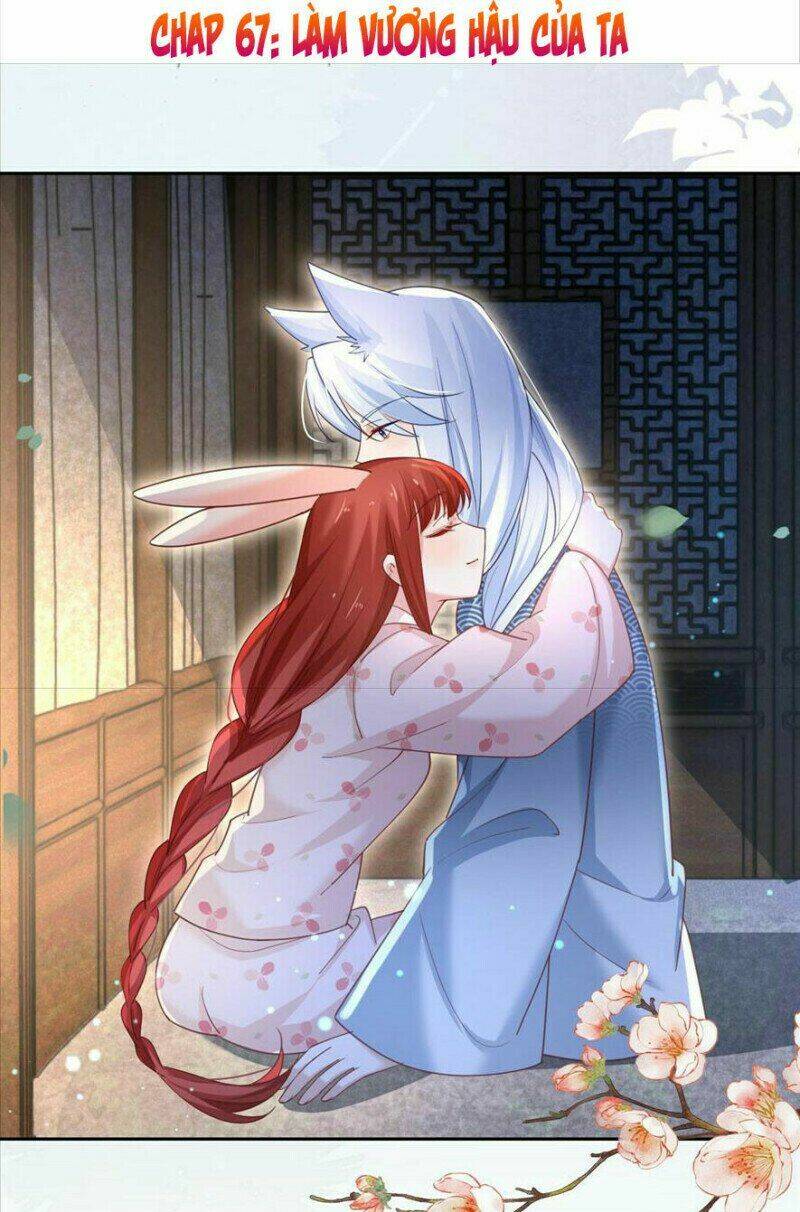 hắc hóa nam chính trực tuyến nuôi thỏ chapter 67 3