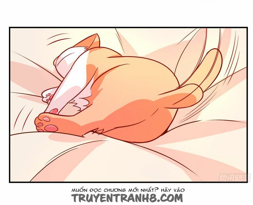 chủ nhân là ảnh đế chapter 1.6 34