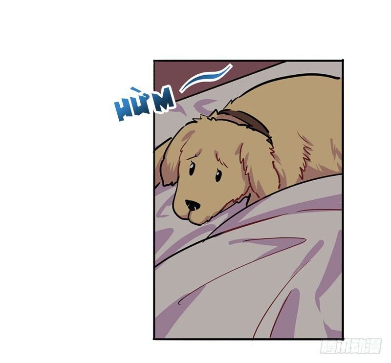 ngôn tình nam chính không thẳng được chapter 7 3