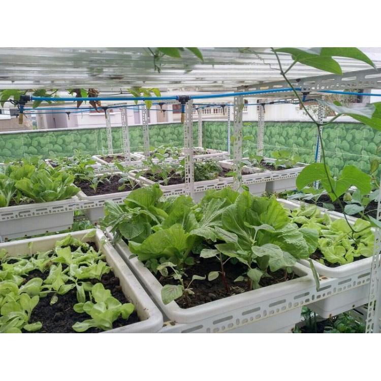 10 Béc phun sương đồng kèm nối ren 21 tưới lan, cây cảnh