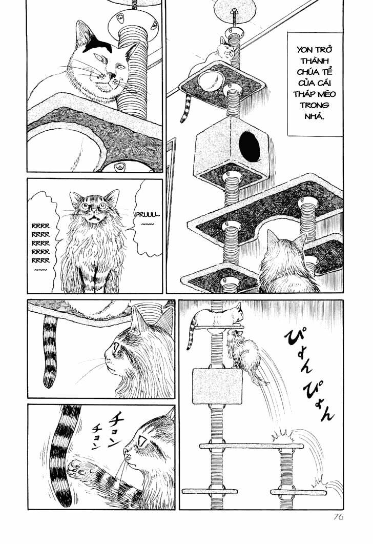 ito junji cat's diary chapter 7 8