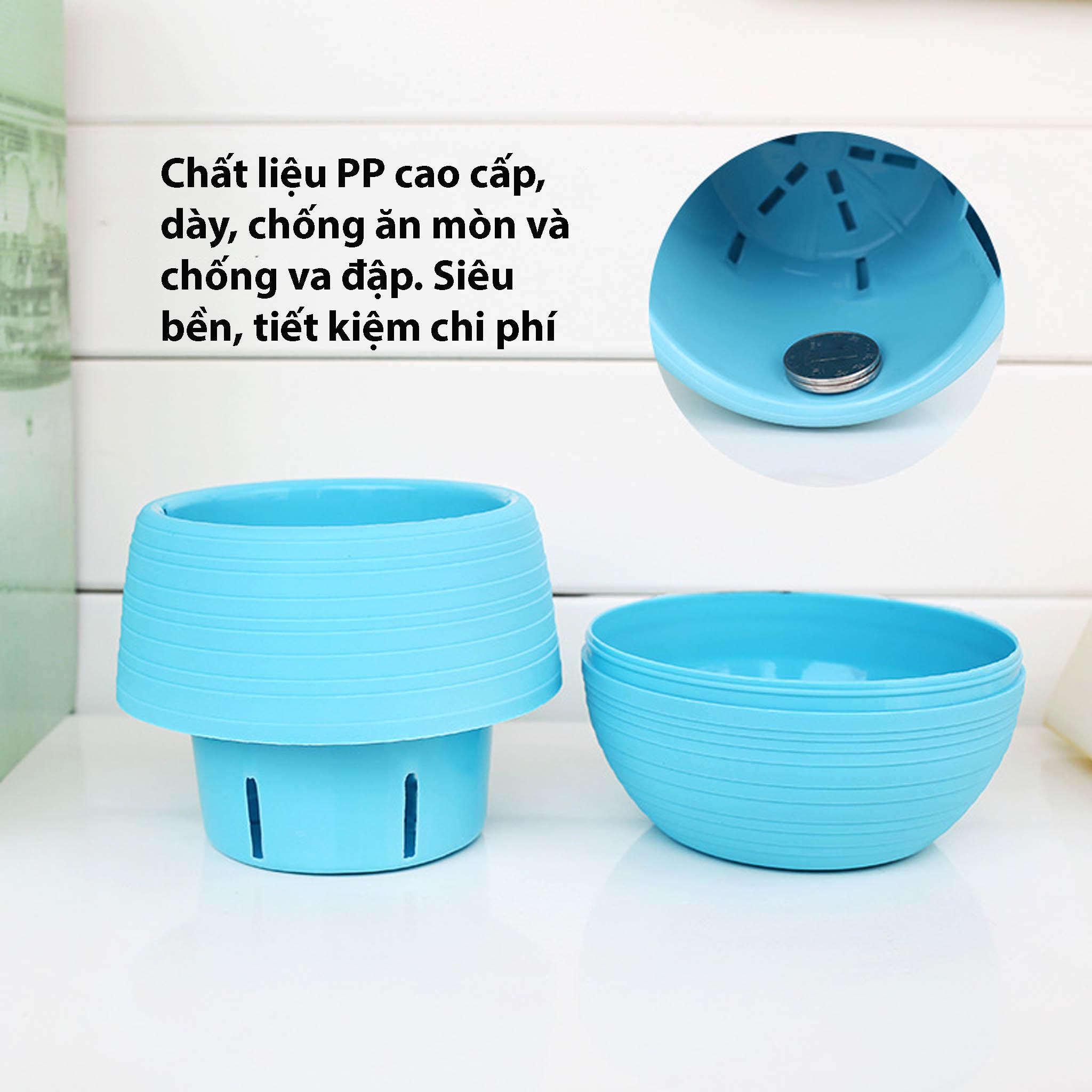 Chậu Trồng Sen Đá Mini TH Garden - Có Đáy Trữ Nước, Trồng Sen Đá, Xương Rồng Cực Đẹp - Sử Dụng Decor Phòng, Trang Trí Sân Vườn