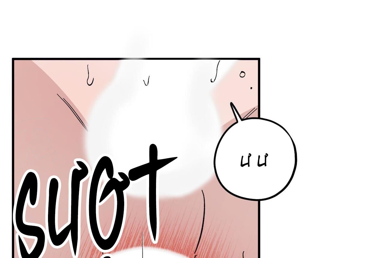 chàng dâu nhà họ kang chapter 46 76