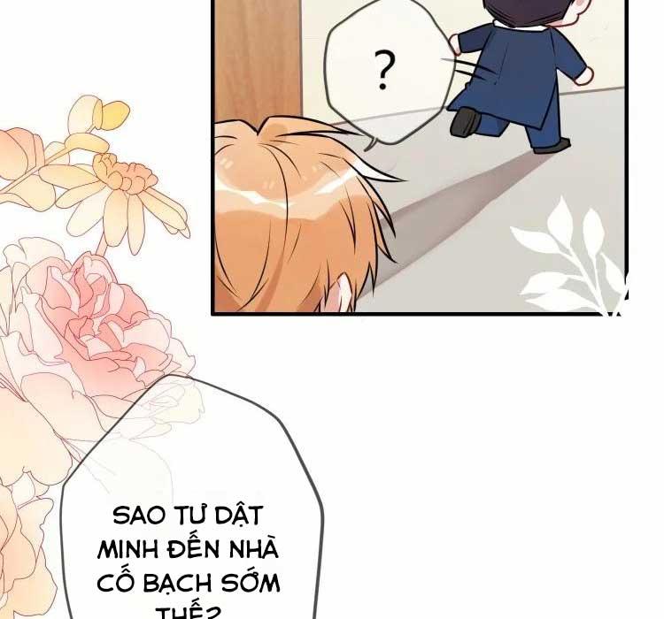 CĂN HỘ QUÁI VẬT chapter 53