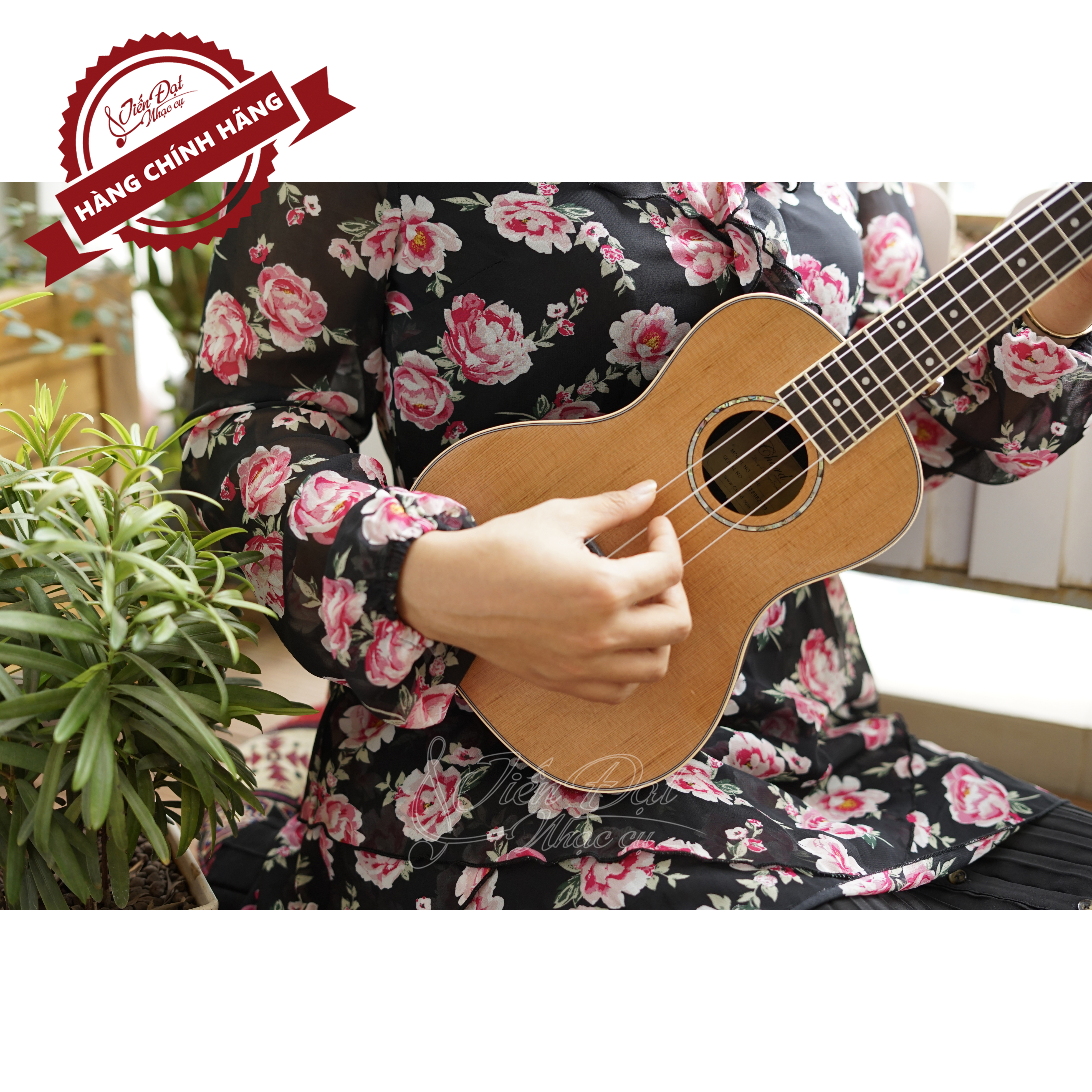 Đàn Ukulele Concert CHARD U-24D, Gỗ Tuyết Tùng, Cổ Điển - Hàng Chính Hãng