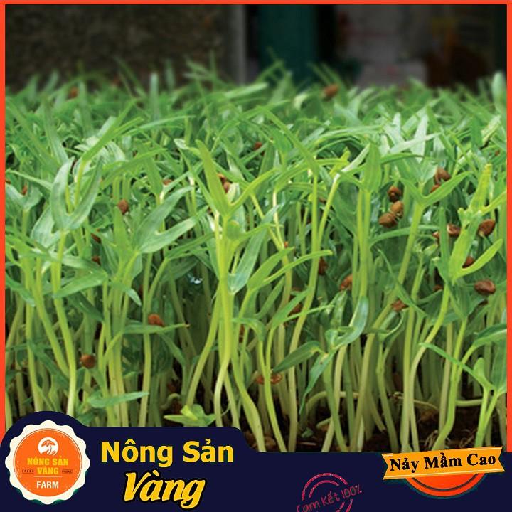 Hạt giống Rau Mầm Rau Muống