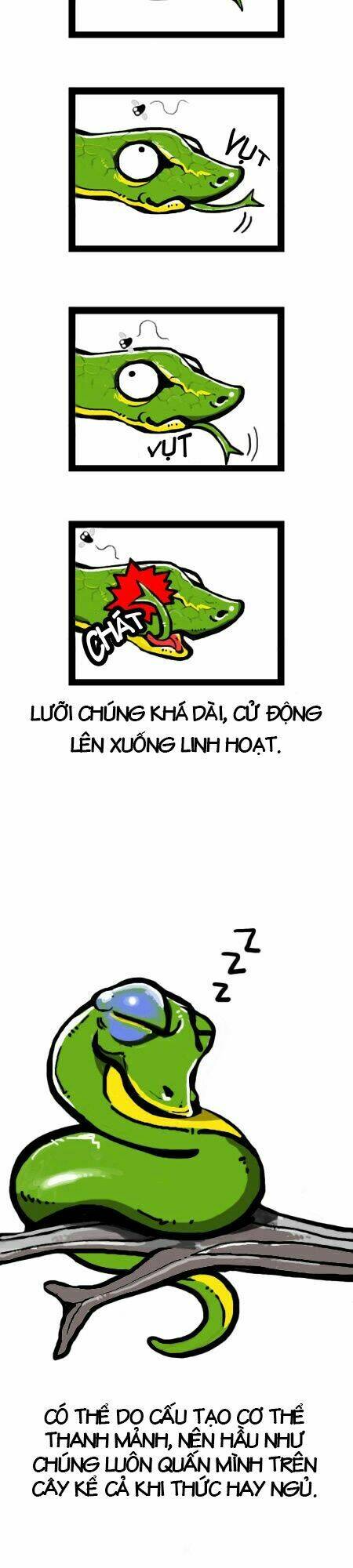 earth, human, and animal chapter 4 4