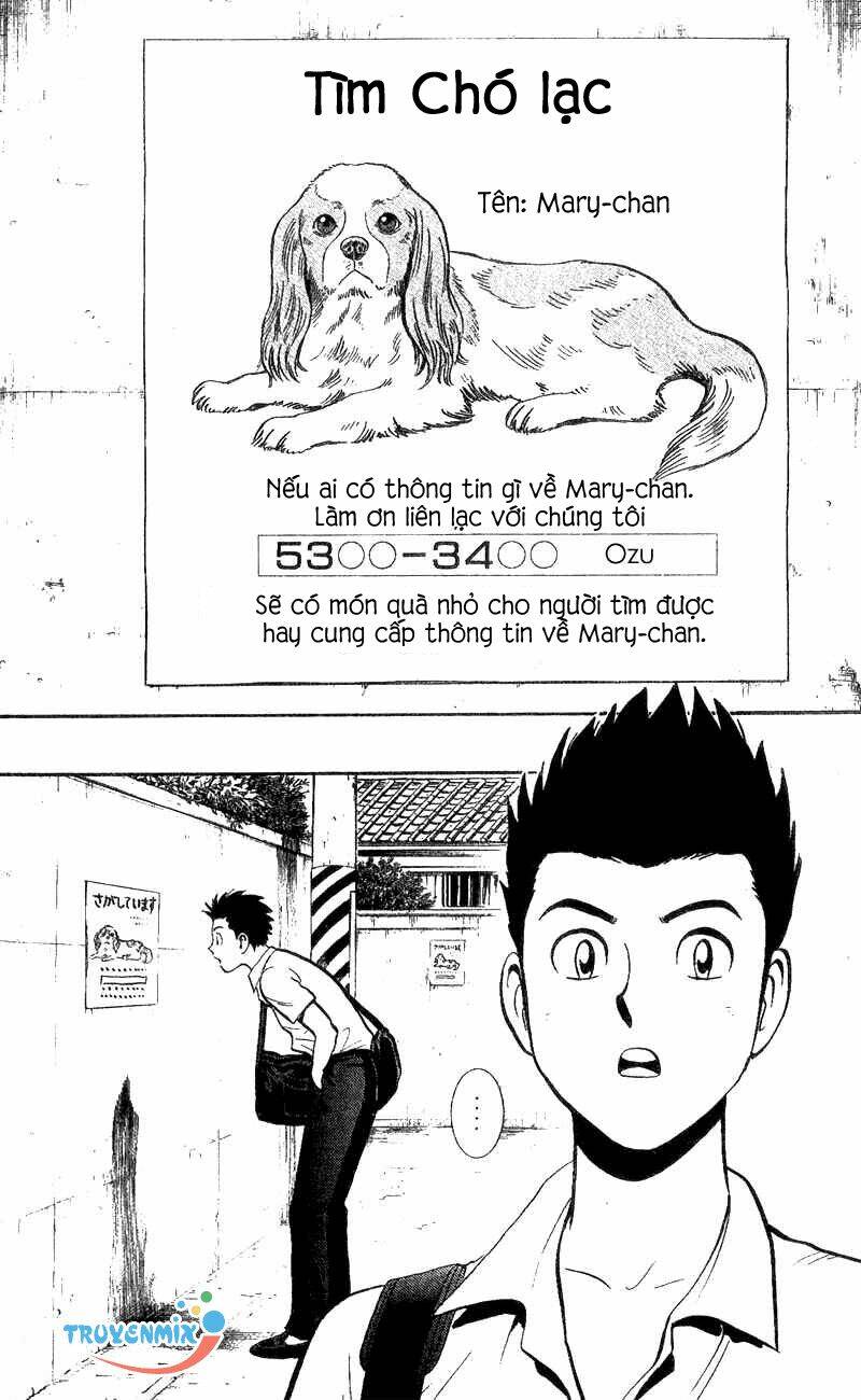 animal sense chapter 2 35