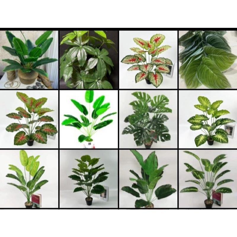 CÂY 18 LÁ CÁC LOẠI  CAO 80CM- CÂY GIẢ DERCOR