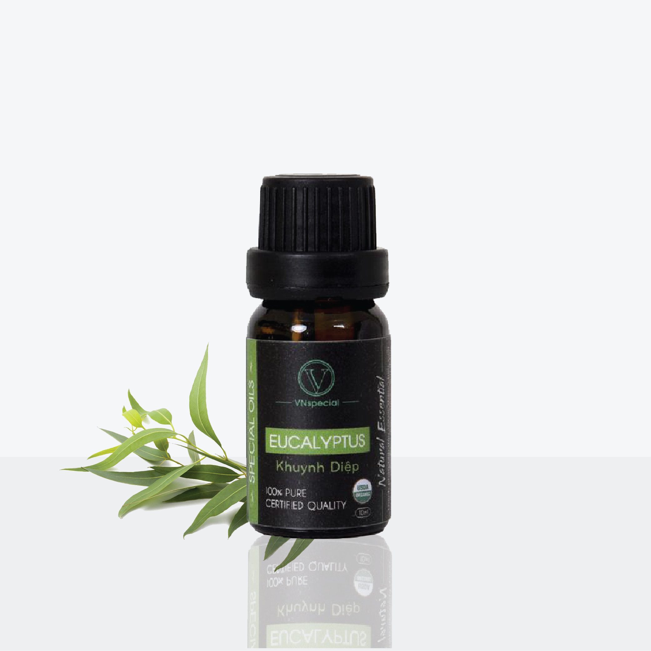 Tinh Dầu Khuynh Diệp Hữu Cơ | Organic Eucalyptus Oil | Tinh dầu Nhập Khẩu USDA- Vnspecial Oils